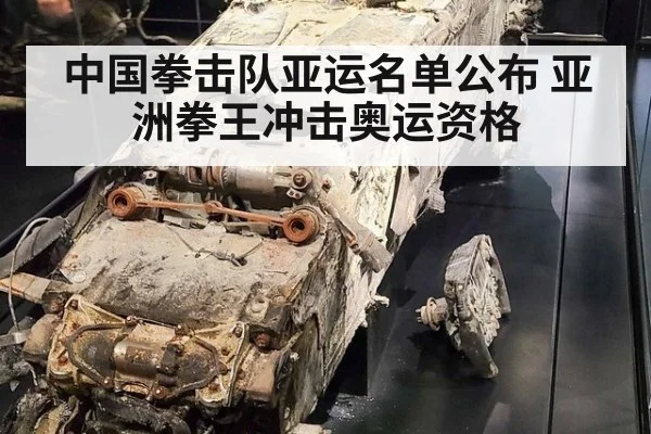 中国拳击队亚运名单公布 亚洲拳王冲击奥运资格